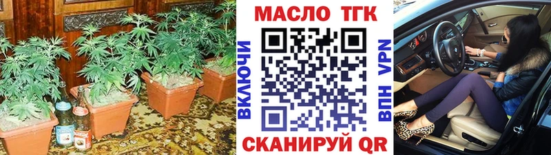 закладки  Шагонар  ТГК гашишное масло 