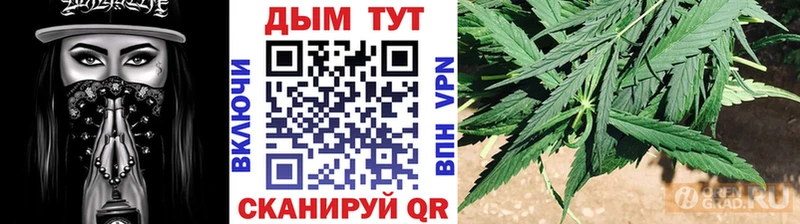 купить наркотик  Шагонар  Каннабис семена 